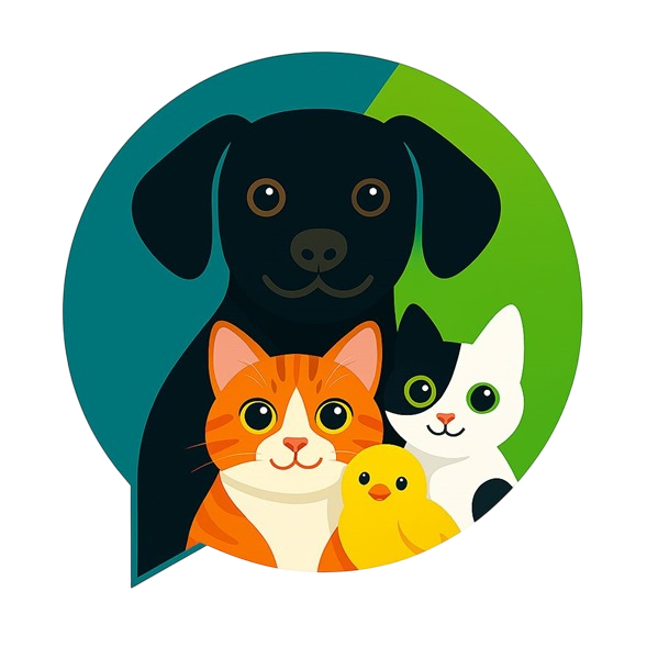 Logo Amidex